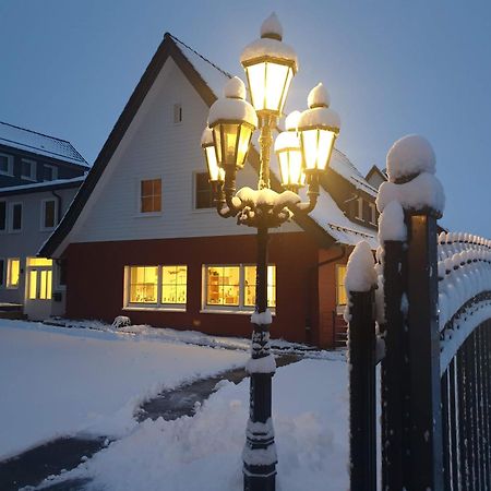 Fewo Winter In Der Villa Waldrand Mit Zwei Balkonen Бад-Вюнненберг Екстер'єр фото
