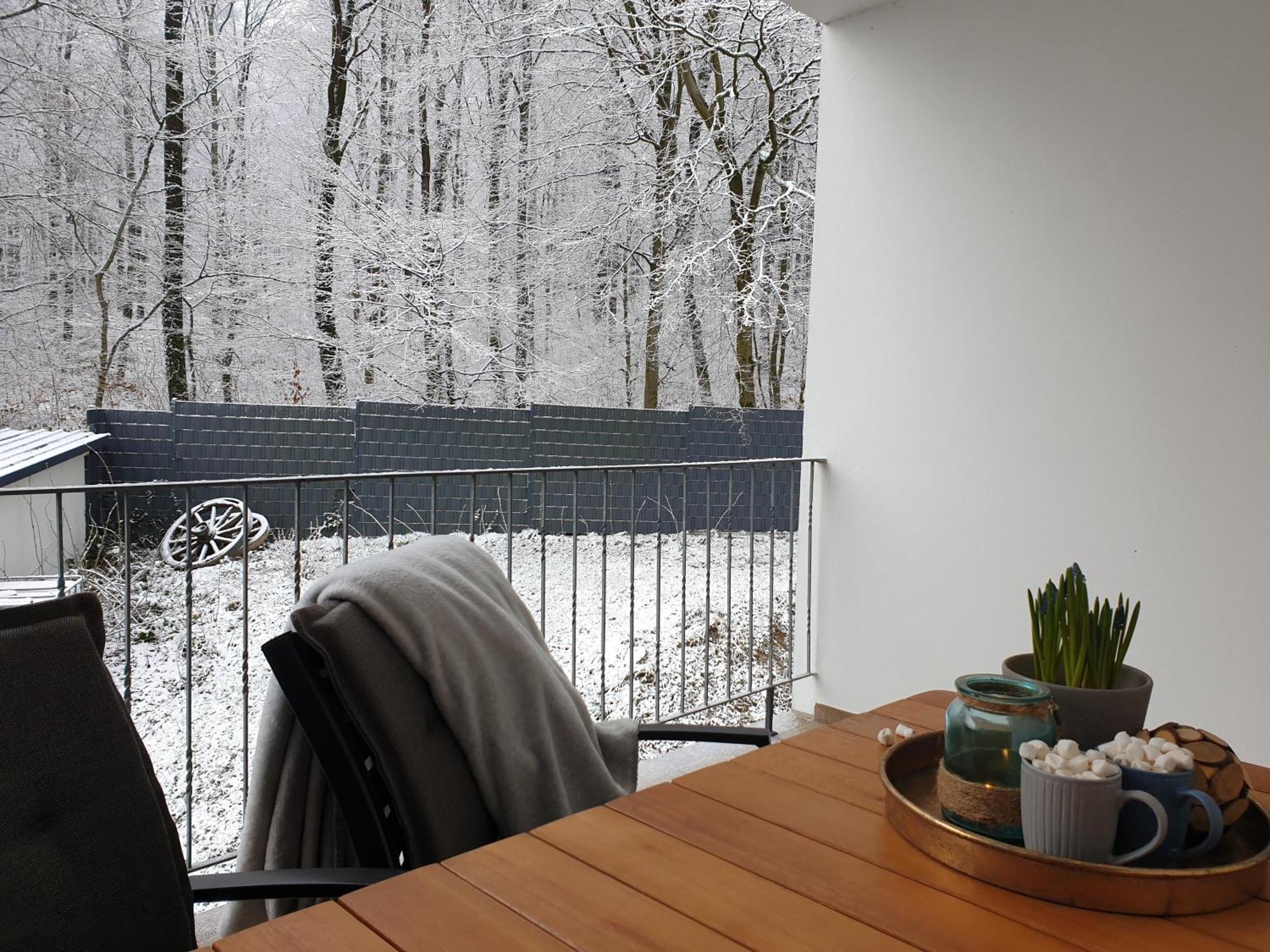Fewo Winter In Der Villa Waldrand Mit Zwei Balkonen Бад-Вюнненберг Екстер'єр фото